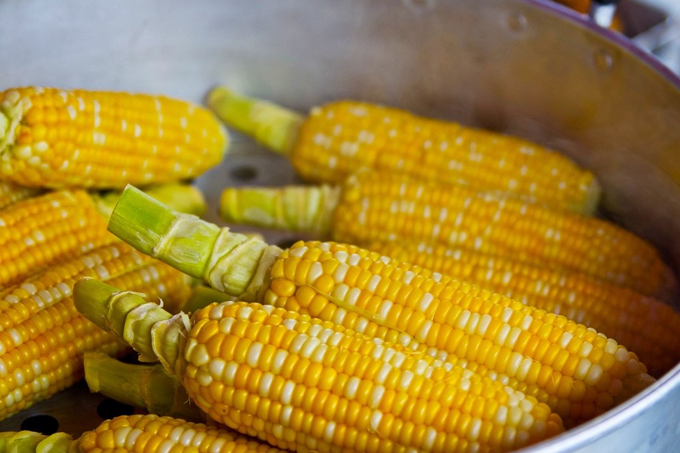 gotowanie kukurydzy